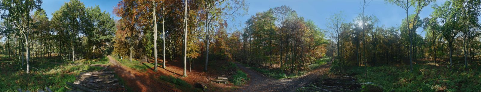 2015-11-01 - NSG Resser Wald Gelsenkirchen