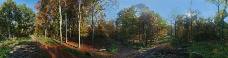 NSG Resser Wald
