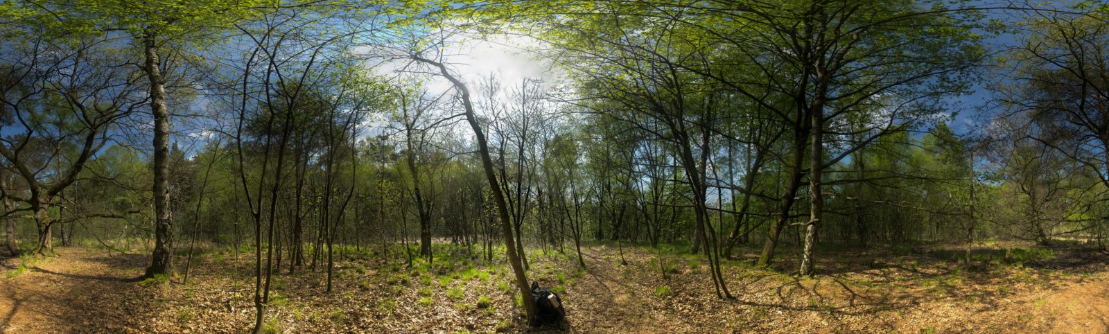 2017-05-10 - NSG Brinksknapp Recklinghausen