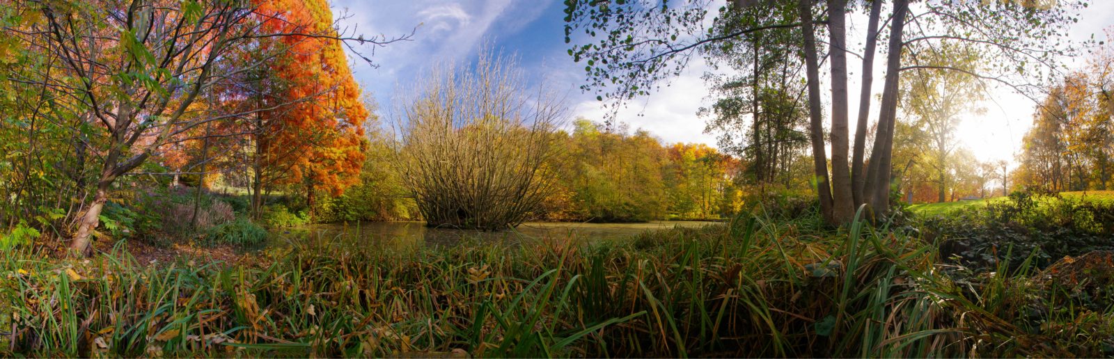 2015-11-03 - Schellenbergpark am Schoßteich von Haus Goldschmieding